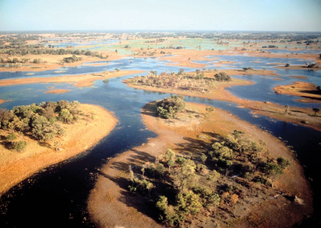 Делтата на река Окаванго вдъхва живот в парещата южноафриканска пустош