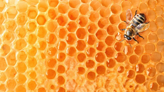 Може ли да се отслабне с повишена консумация на мед? (2018)
