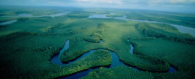 Река Заир (Конго), извиваща се величествено през сърцето на Африка