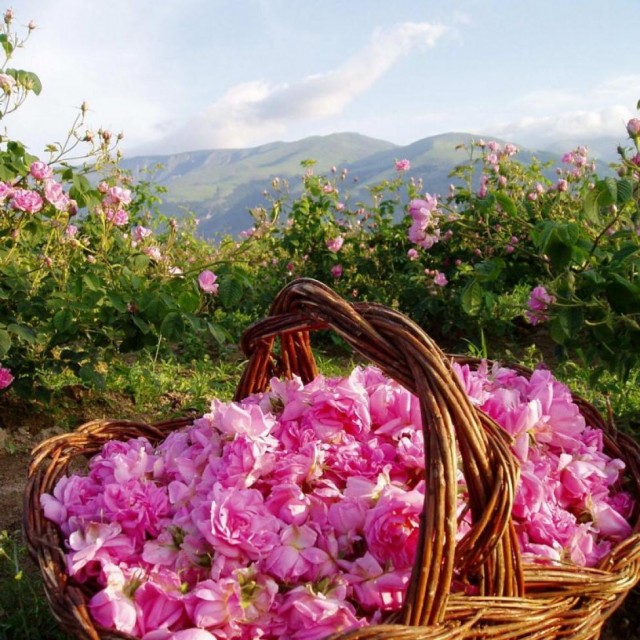 Приказна и романтична: Долината на розите сред най-високоценените национални богатства