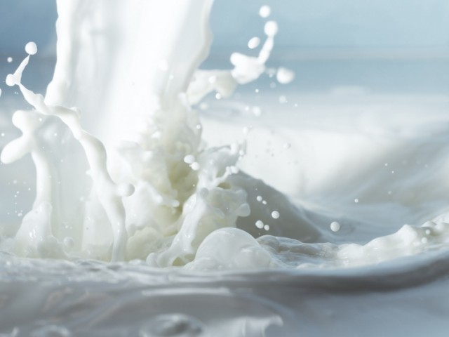 Прясно мляко - как да го употребяваме? (2018)